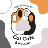 sign for cat cafe